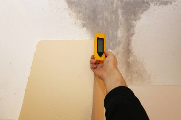 Best Post-Construction Mold Inspection  in Ohioville, PA