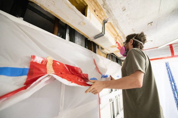 Best Asbestos and Lead Testing During Mold Inspection  in Ohioville, PA