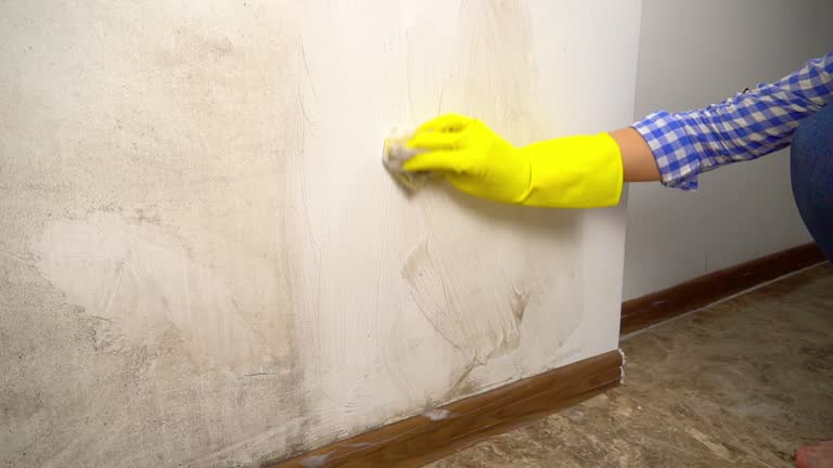 Best Mold Remediation for Healthcare Facilities  in Ohioville, PA