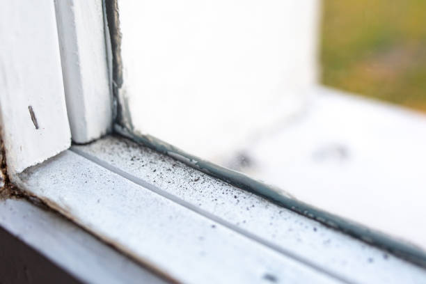 Best Mold Prevention Services  in Ohioville, PA