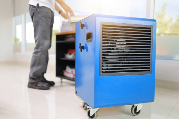 Best Airborne Mold Testing  in Ohioville, PA